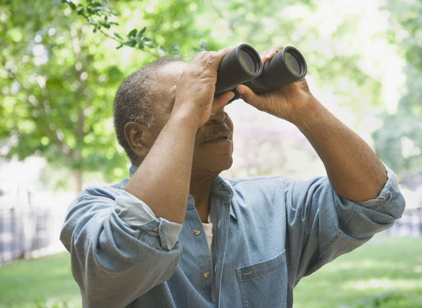 Elders Looking Forward to 2015